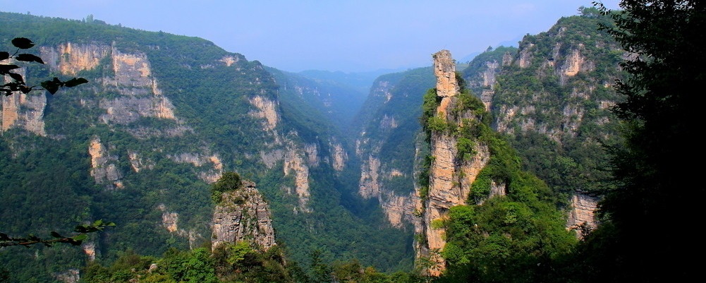 中国有机谷